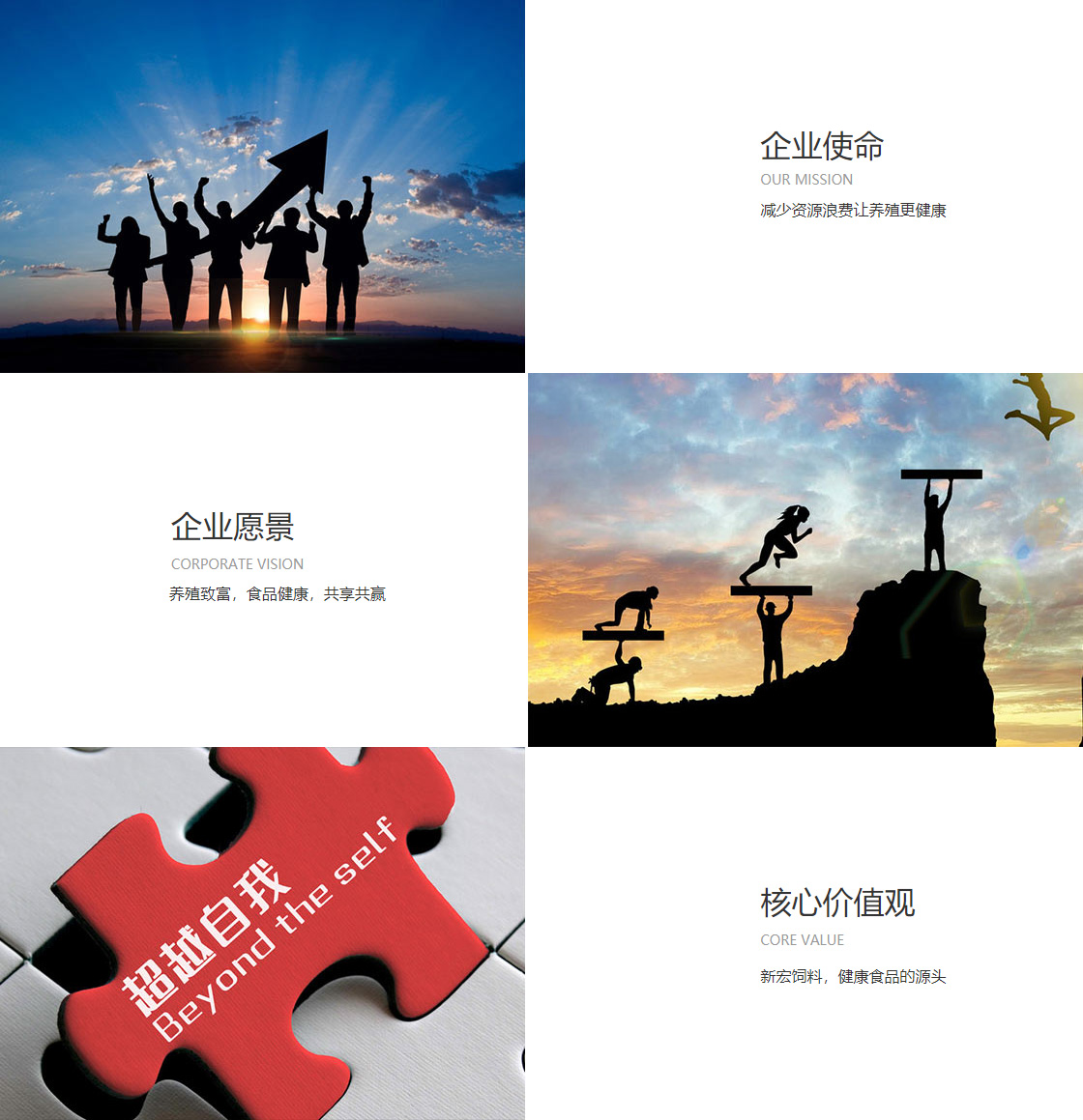 天辰娱乐(图1)